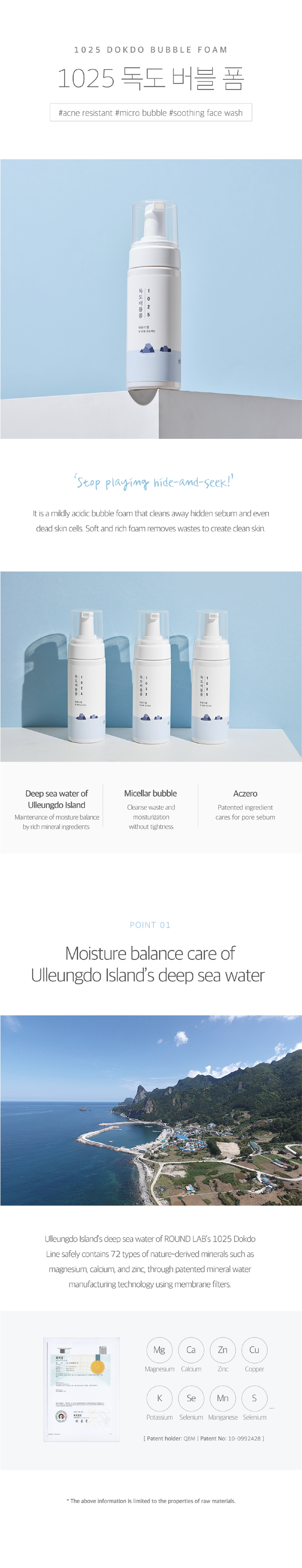 Round Lab 1025 Dokdo Bubble Foam - STORE K BEAUTY