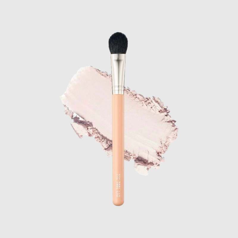 THE TOOL LAB 163 MEDIUM BLUSHER THE TOOL LAB
