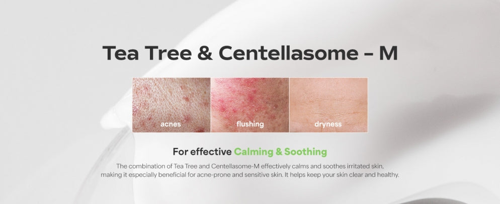 SUNGBOON EDITOR Deep Cica Teatree Soothing Mask SUNGBOON EDITOR