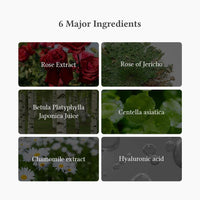 Dr.Althea Oasis Soothing Mask Dr.Althea
