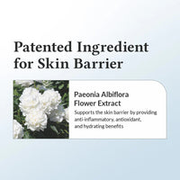 Dr.Althea 147 Barrier Cream Dr.Althea