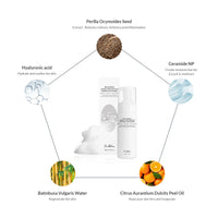 Dr.Althea Amino Acid Gentle Bubble Cleanser Dr.Althea