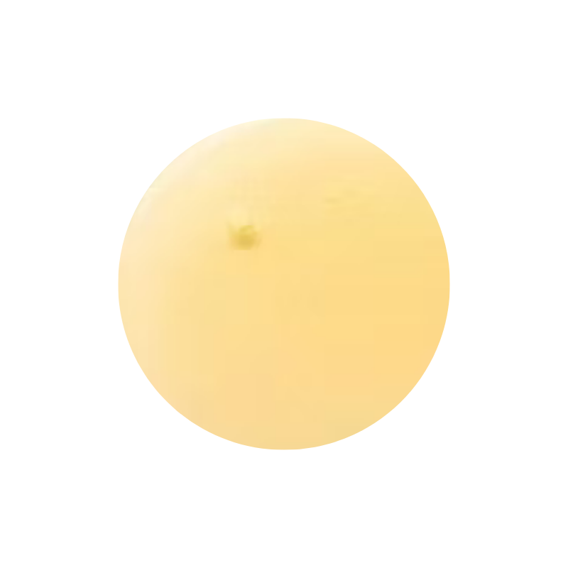 Dr.Ceuracle ROYAL VITA PROPOLIS 33 AMPOULE Dr.Ceuracle