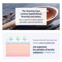 Pyunkang Yul Cleansing Foam PYUNKANG YUL